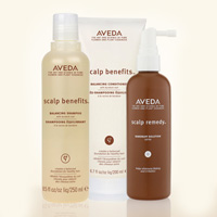 SCALP EDUT - AVEDA